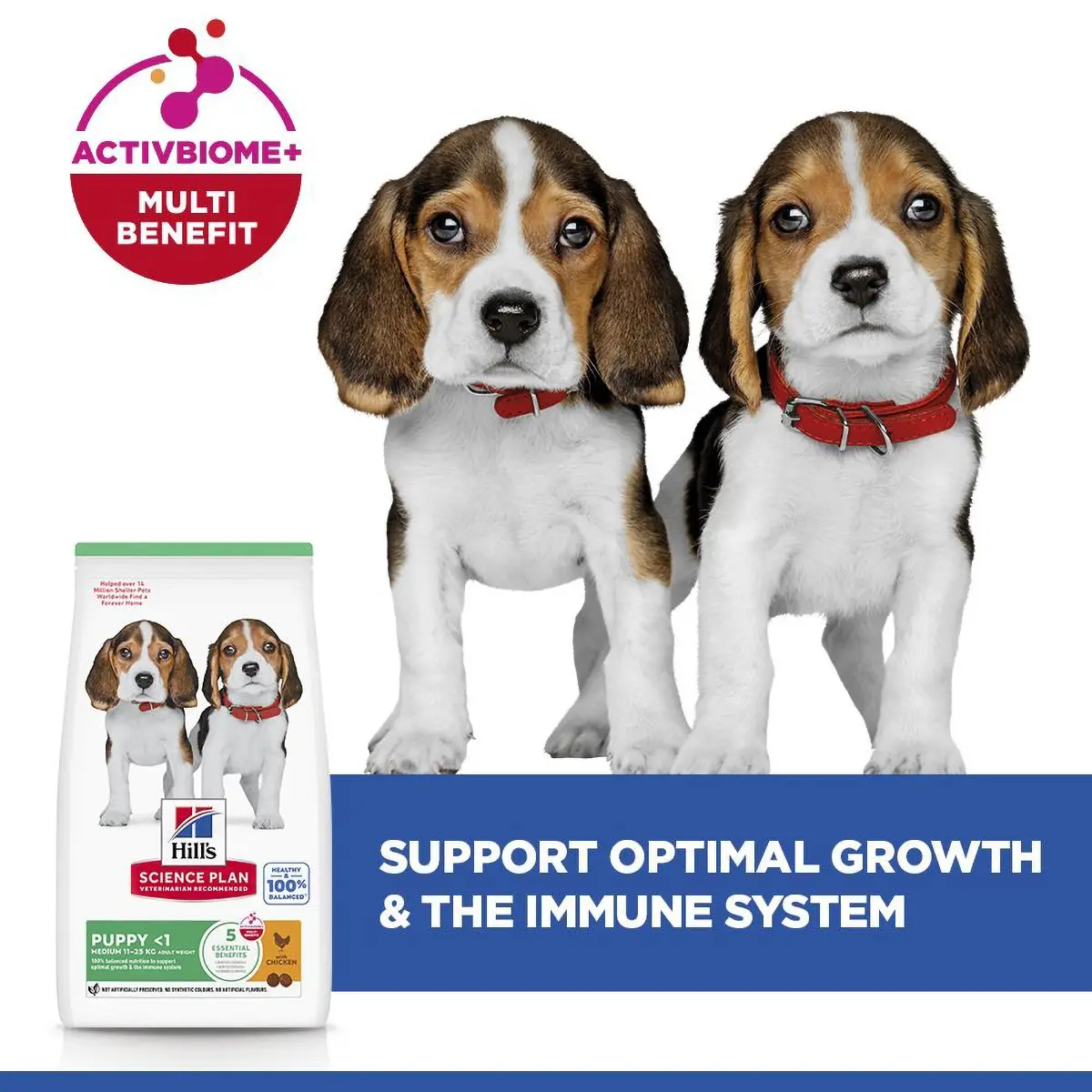 Hrana Uscata Catei Hill's Science Plan Puppy Medium cu Pui - imagine 2