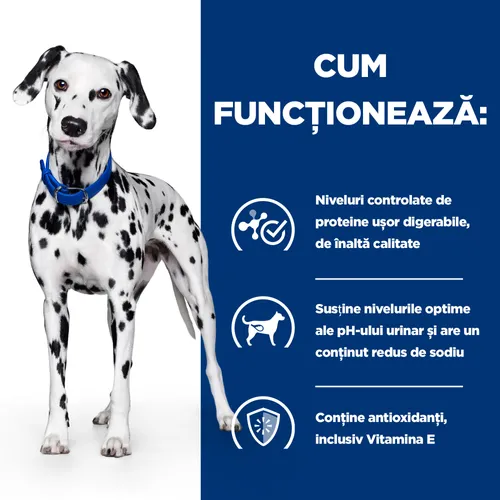 Sac de hrană uscată dietetică Hill's Prescription Diet u/d Urinary Care, special formulată pentru prevenirea și reducerea calculilor de urat și cistină la câini.