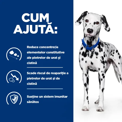 Sac de hrană uscată dietetică Hill's Prescription Diet u/d Urinary Care, special formulată pentru prevenirea și reducerea calculilor de urat și cistină la câini.