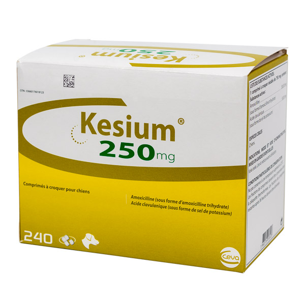 Folie cu 10 comprimate masticabile Kesium 250 mg, antibiotic pentru tratamentul infecțiilor respiratorii, urinare și cutanate la câini.