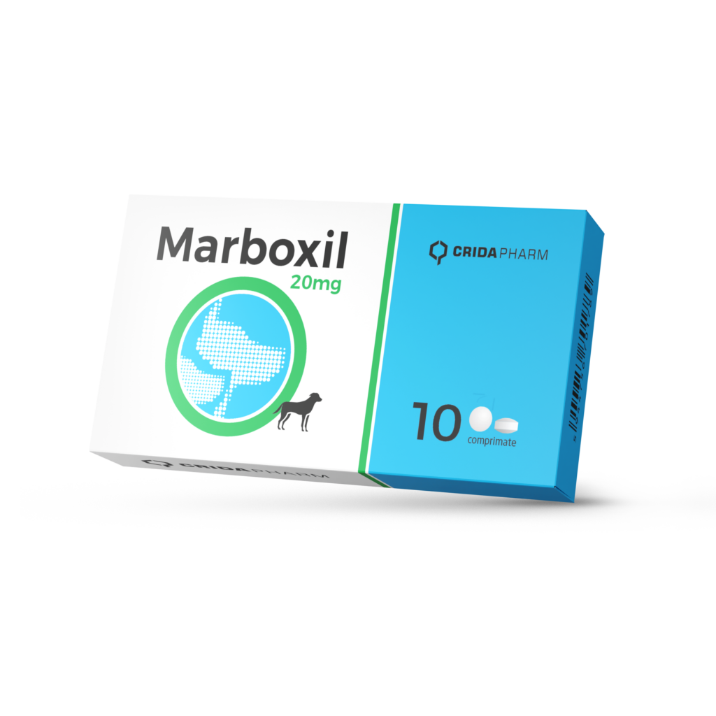 Folie cu 10 comprimate palatabile Marboxil 20 mg, antibiotic veterinar pe bază de marbofloxacină pentru câini de talie medie și mare.
