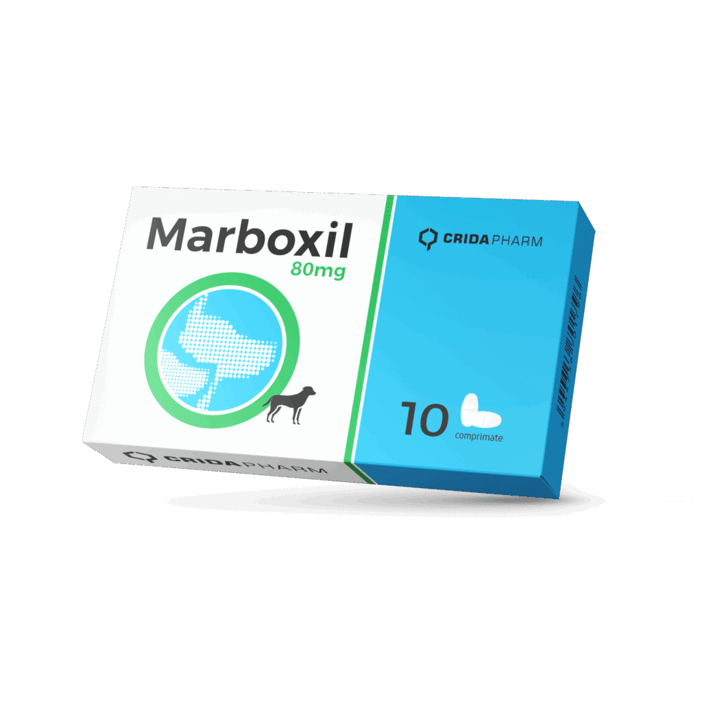 Folie cu 10 comprimate palatabile Marboxil 80 mg, antibiotic veterinar pe bază de marbofloxacină pentru câini de talie mare și gigant.