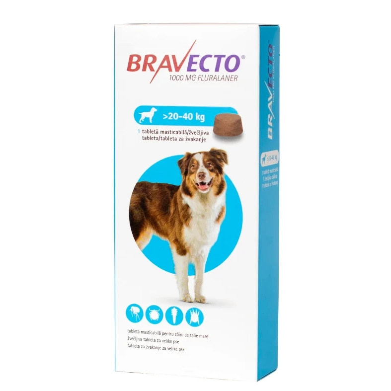 Cutie cu o tabletă masticabilă aromată Bravecto 500 mg, tratament antiparazitar extern pentru câini de 20 - 40 kg.