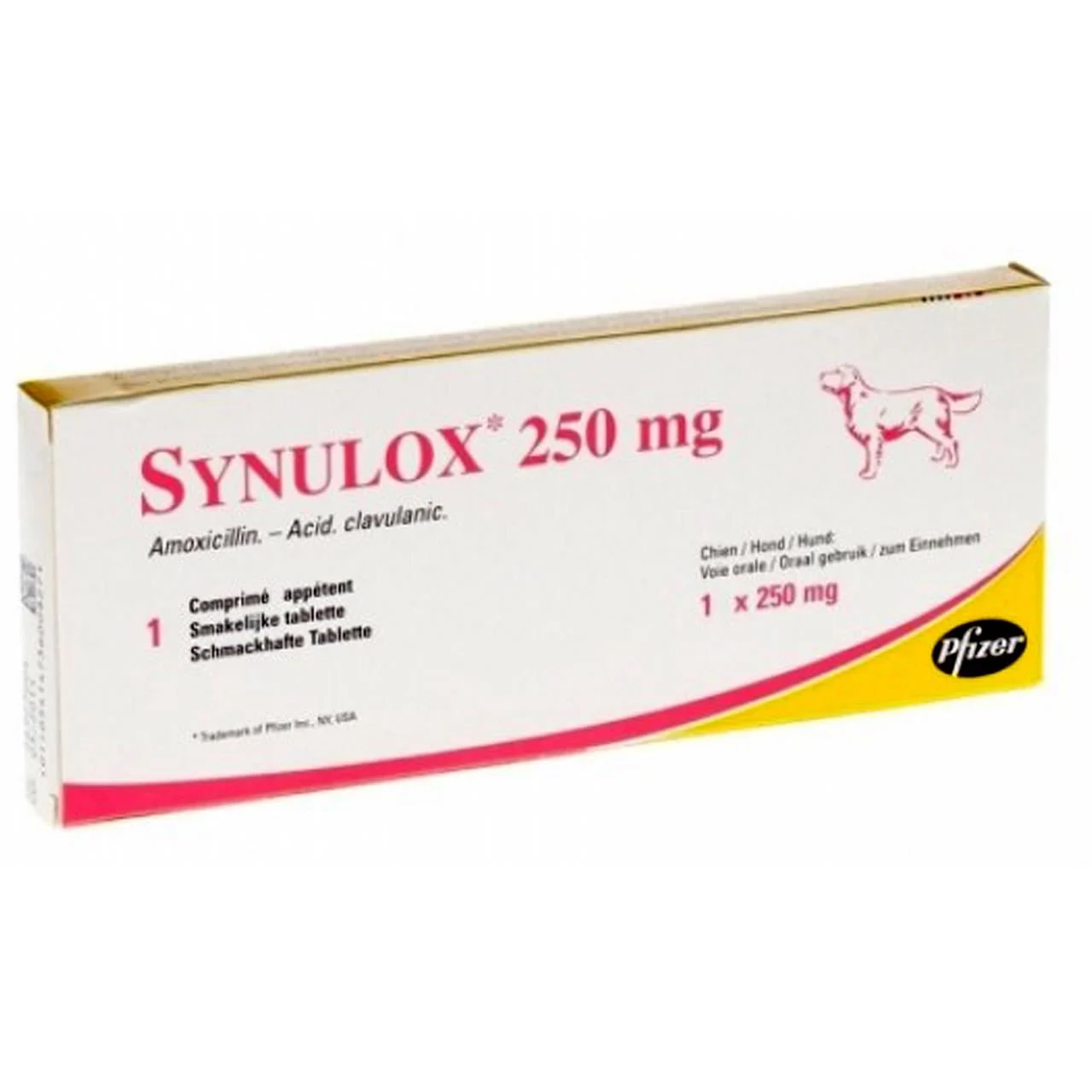 Folie cu 10 tablete palatabile Synulox 250 mg, antibiotic veterinar pentru tratamentul infecțiilor la câini de talie medie și mare.