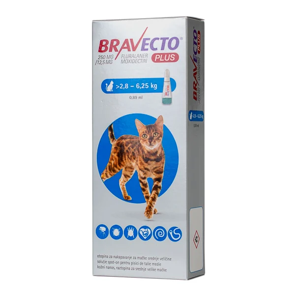 Cutie cu o pipetă antiparazitară Bravecto Plus Spot-On 250 mg, tratament cu spectru larg (intern și extern) pentru pisici de talie medie cu greutatea între 2.8 și 6.25 kg.