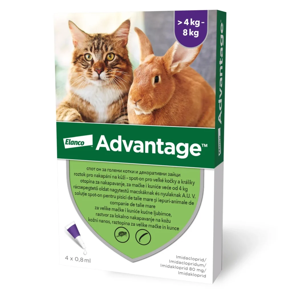 Cutie cu 4 pipete antiparazitare spot-on Advantage 80 mg, tratament eficient împotriva puricilor pentru pisici și iepuri cu greutatea între 4 și 8 kg.