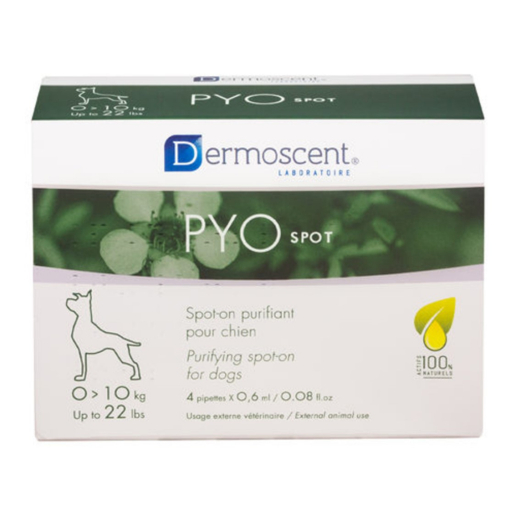 Aplicare cu soluție purificatoare Dermoscent PYO spot pentru îngrijirea pielii predispuse la infecții la câini.