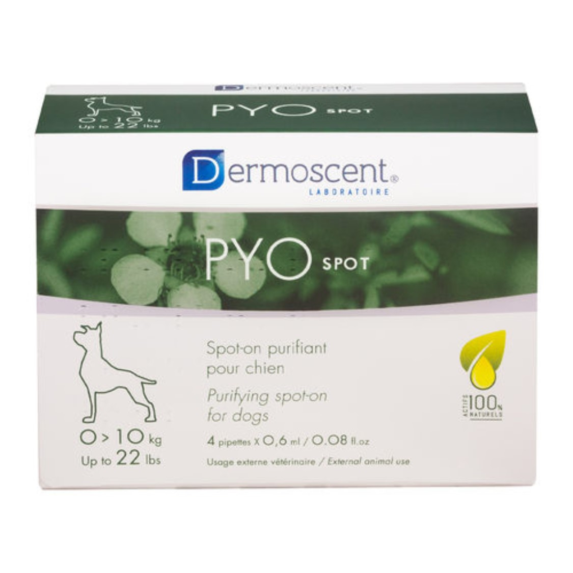 Aplicare cu soluție purificatoare Dermoscent PYO spot pentru îngrijirea pielii predispuse la infecții la câini.