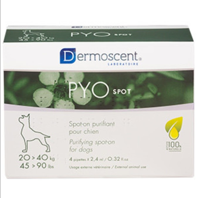 Aplicare cu soluție purificatoare Dermoscent PYO spot pentru îngrijirea și calmarea pielii predispuse la infecții la câini.