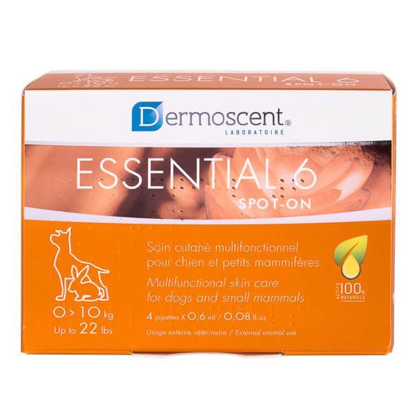 Aplicare topică cu soluția Dermoscent Essential 6 Spot-on pentru îngrijirea pielii și a blănii la câinii de talie mică.