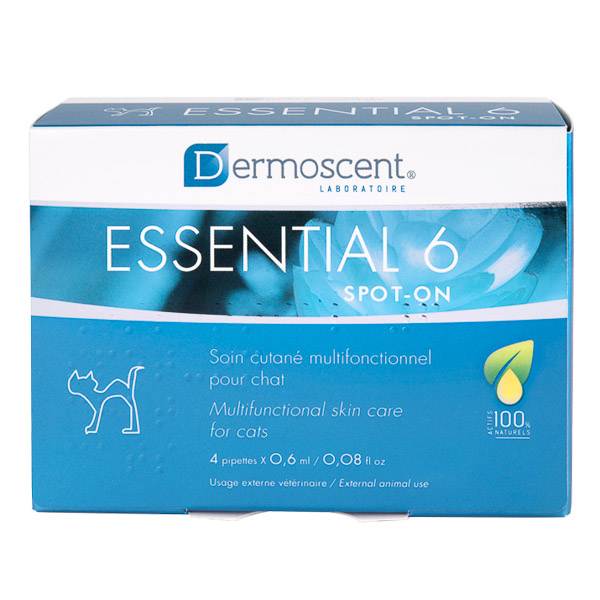 Aplicare topică cu soluția Dermoscent Essential 6 Spot-on pentru îngrijirea completă a pielii și a blănii la pisici.