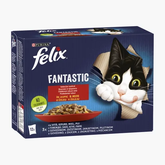 Cutie cu 12 plicuri de hrană umedă pentru pisici Felix Fantastic Asortiment de Carne în Aspic.