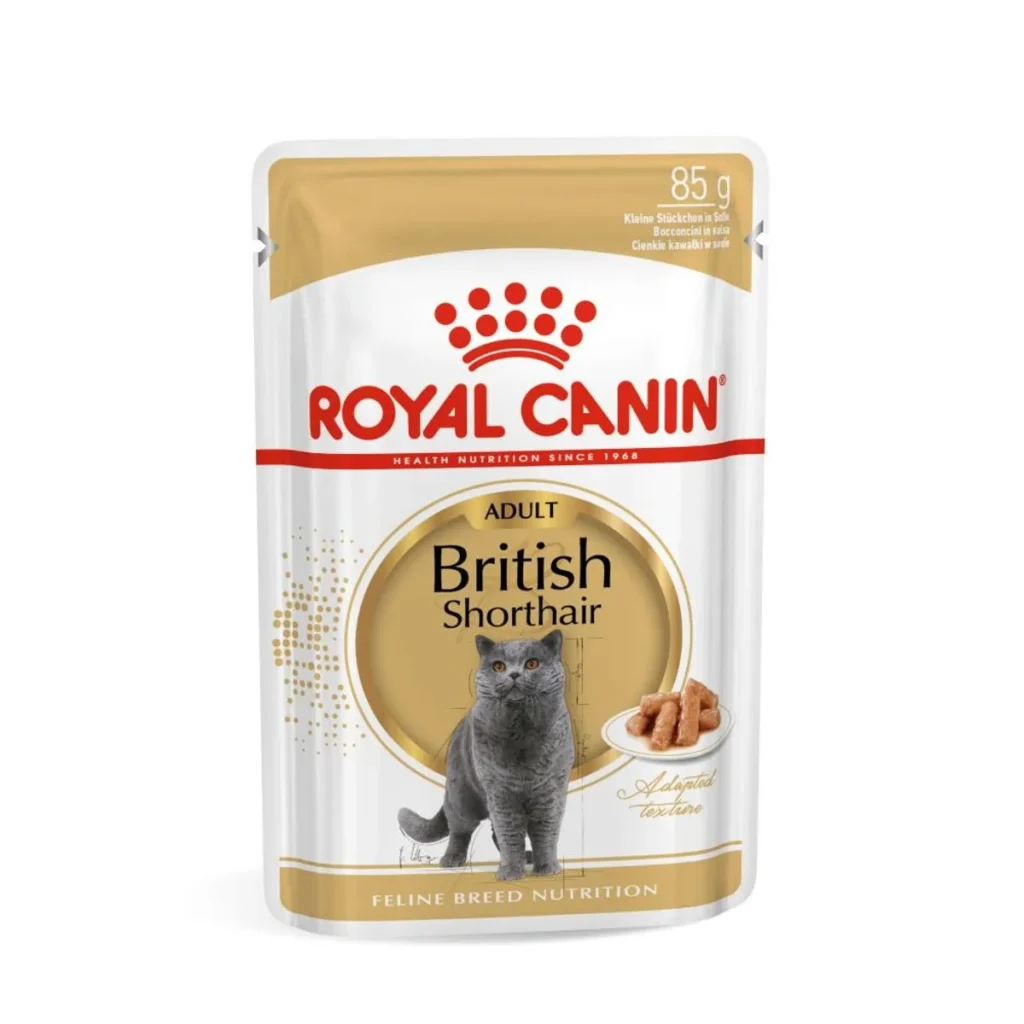 Plic de 85 g cu hrană umedă Royal Canin pentru pisici adulte British Shorthair, cu bucățele fragede în sos.