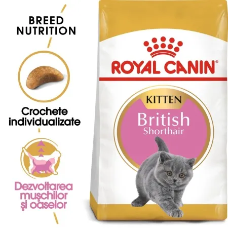 Sac de 2 kg de hrană uscată pentru pisoi British Shorthair Royal Canin British Shorthair Kitten.