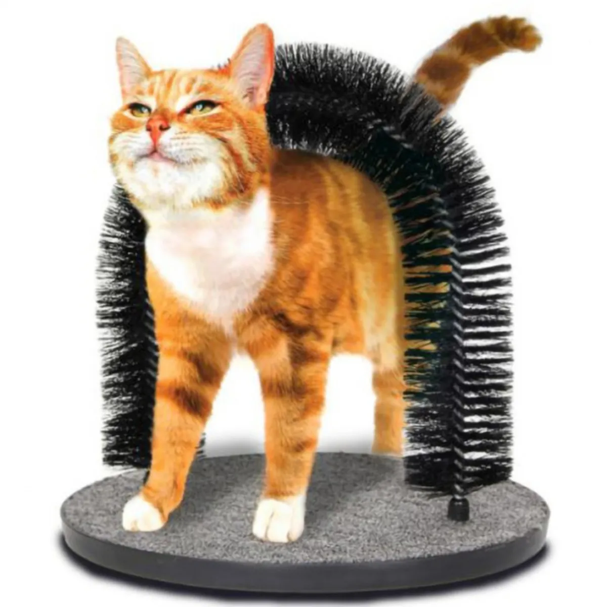 Ansamblu interactiv de joacă pentru pisici Miau Miau cu perie de masaj și arc cu jucărie.